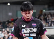 开云平台-日本乒乓球队横扫波兰乒乓球队，张本智和完成帽子戏法的简单介绍