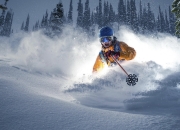 开云体育平台APP-2026世界杯焦点战，尼克斯终结黄蜂，体育跨界盛宴引爆全球