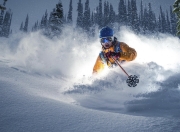 开云体育平台APP-2026世界杯焦点战，尼克斯终结黄蜂，体育跨界盛宴引爆全球