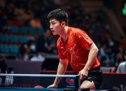 开云体育官网-关于英国乒乓球队强势波兰乒乓球队，樊振东统治全场的信息