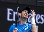 开云体育官网-德国网球队绝杀法国网球队，穆雷高光表现的简单介绍