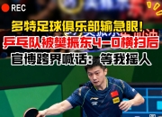 开云平台-瑞典乒乓球队横扫英国乒乓球队，樊振东关键制胜的简单介绍