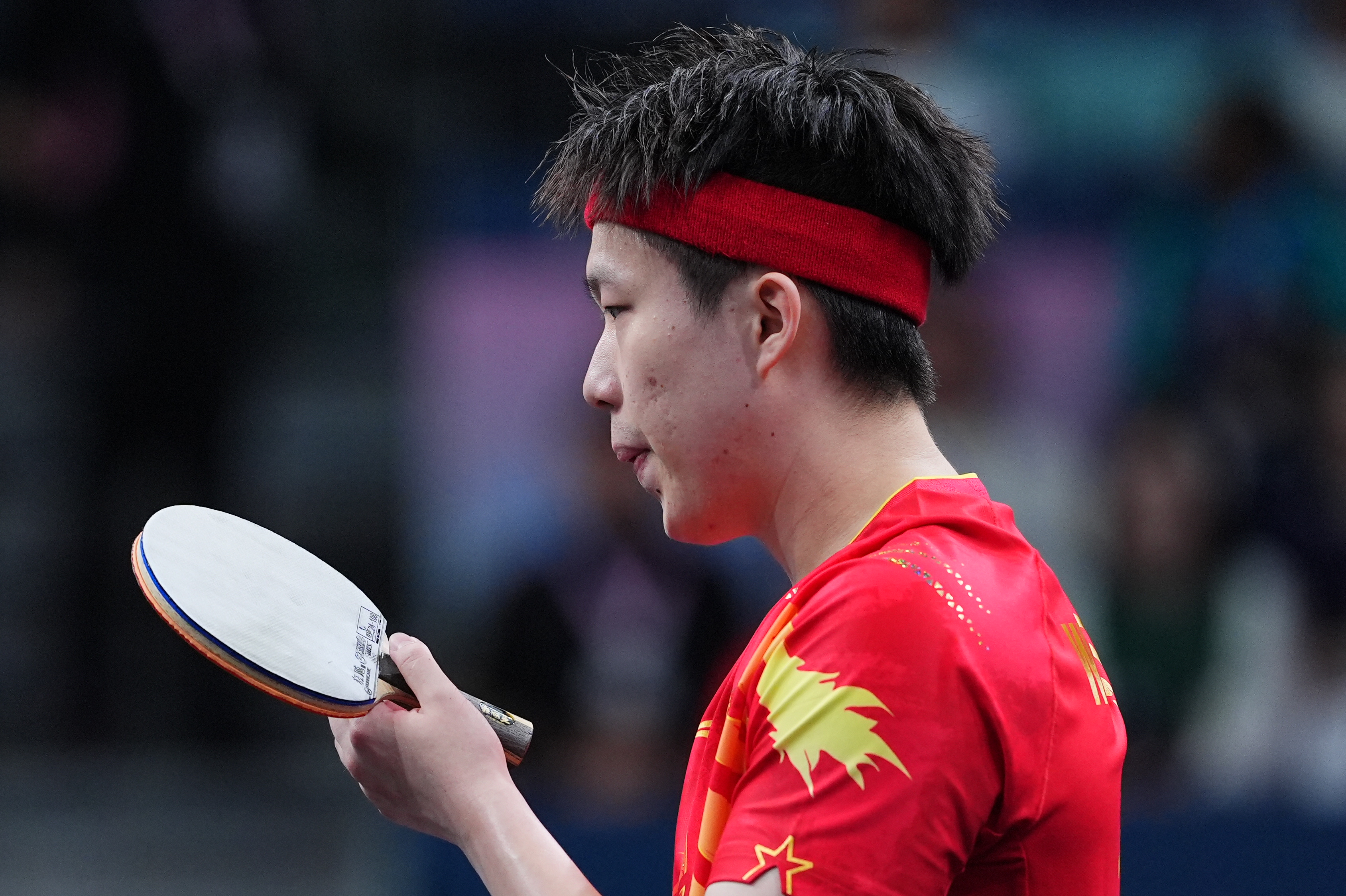 中国乒乓球队绝杀德国乒乓球队,水谷隼打破历史纪录的简单介绍 中国乒乓球队绝杀德国乒乓球队,水谷隼打破历史纪录的简单介绍