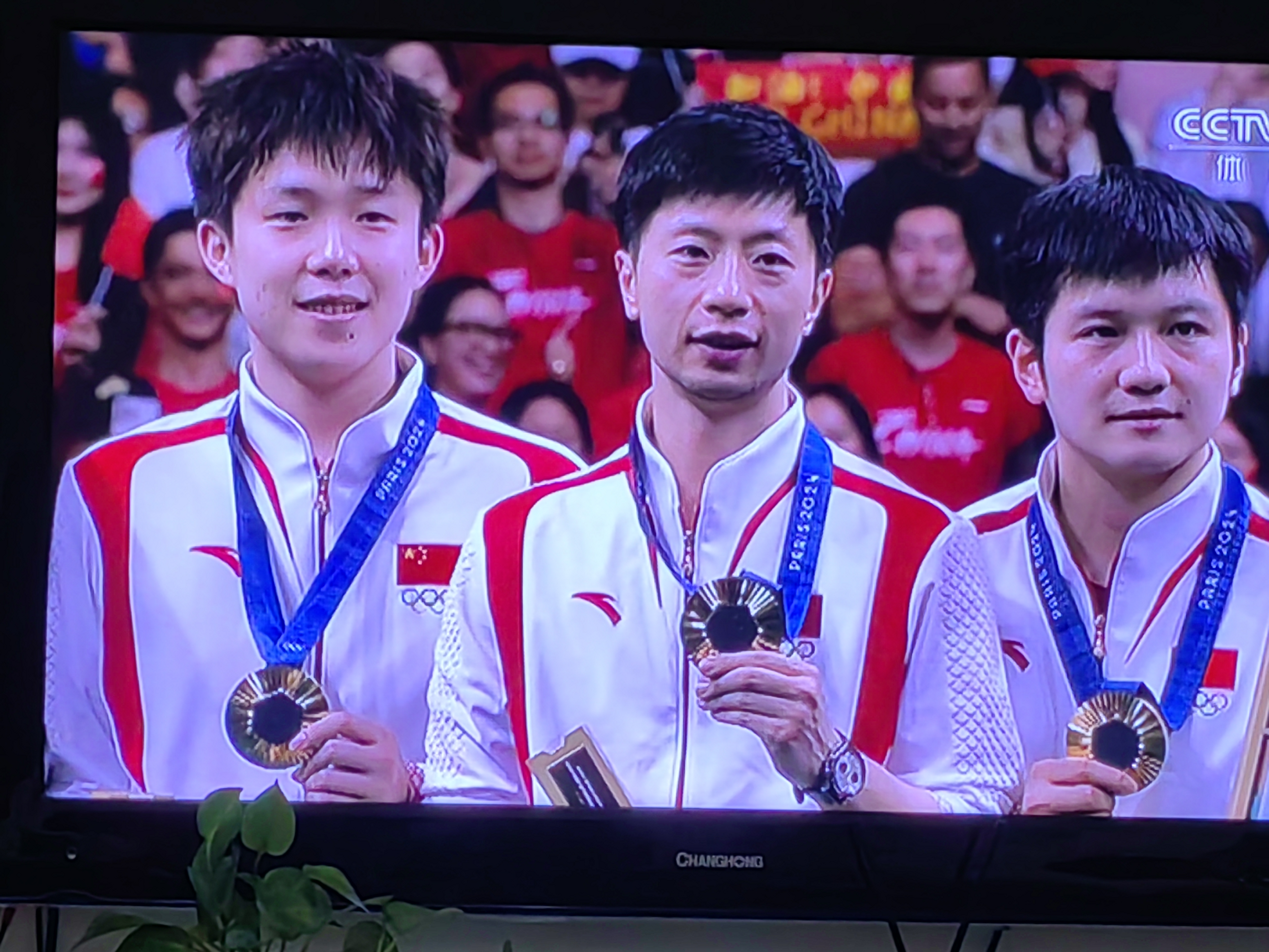 瑞典乒乓球队鏖战中国乒乓球队,马龙惊艳世界的简单介绍 瑞典乒乓球队鏖战中国乒乓球队,马龙惊艳世界的简单介绍