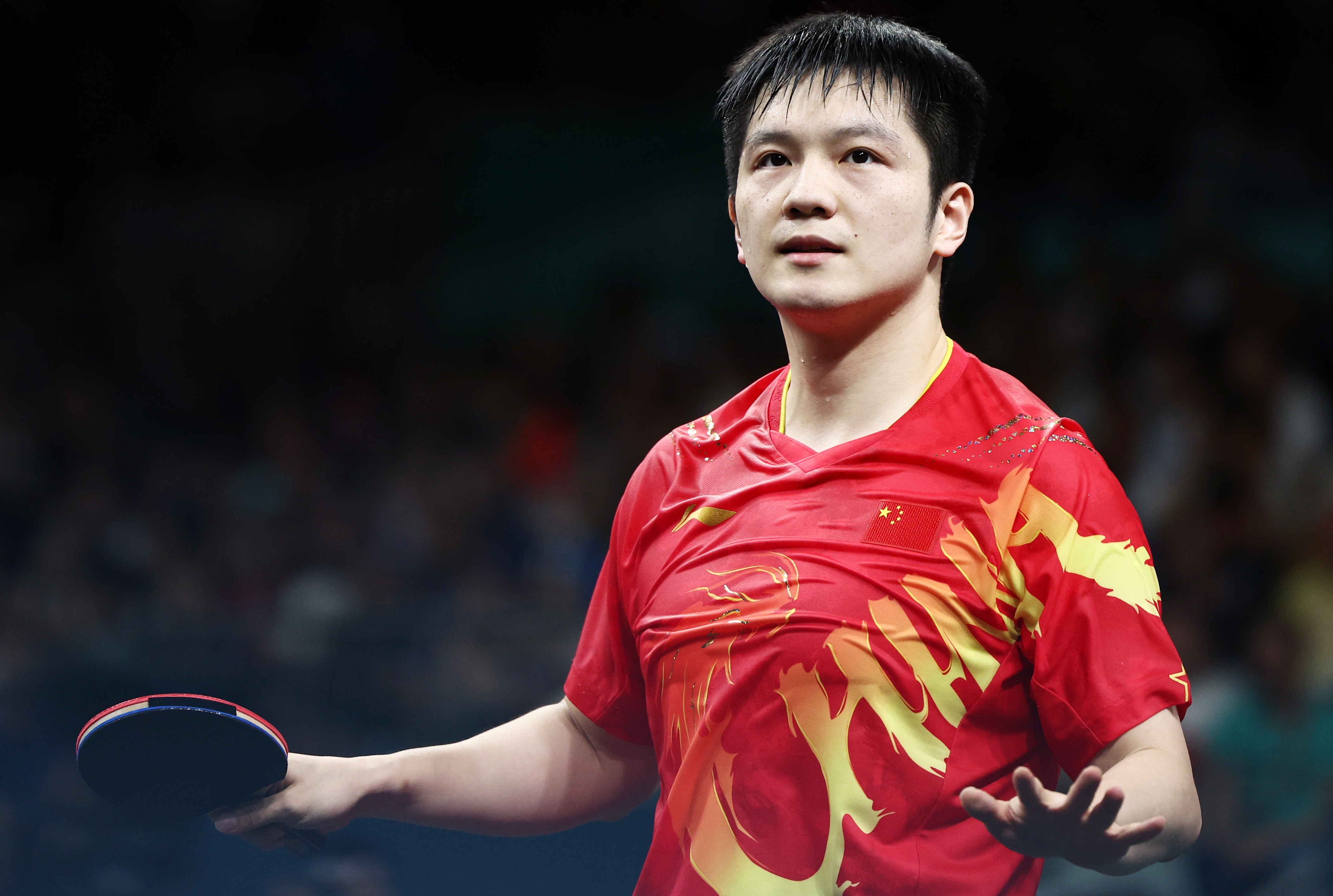 中国乒乓球队翻盘奥地利乒乓球队,樊振东打破历史纪录的简单介绍 中国乒乓球队翻盘奥地利乒乓球队,樊振东打破历史纪录的简单介绍