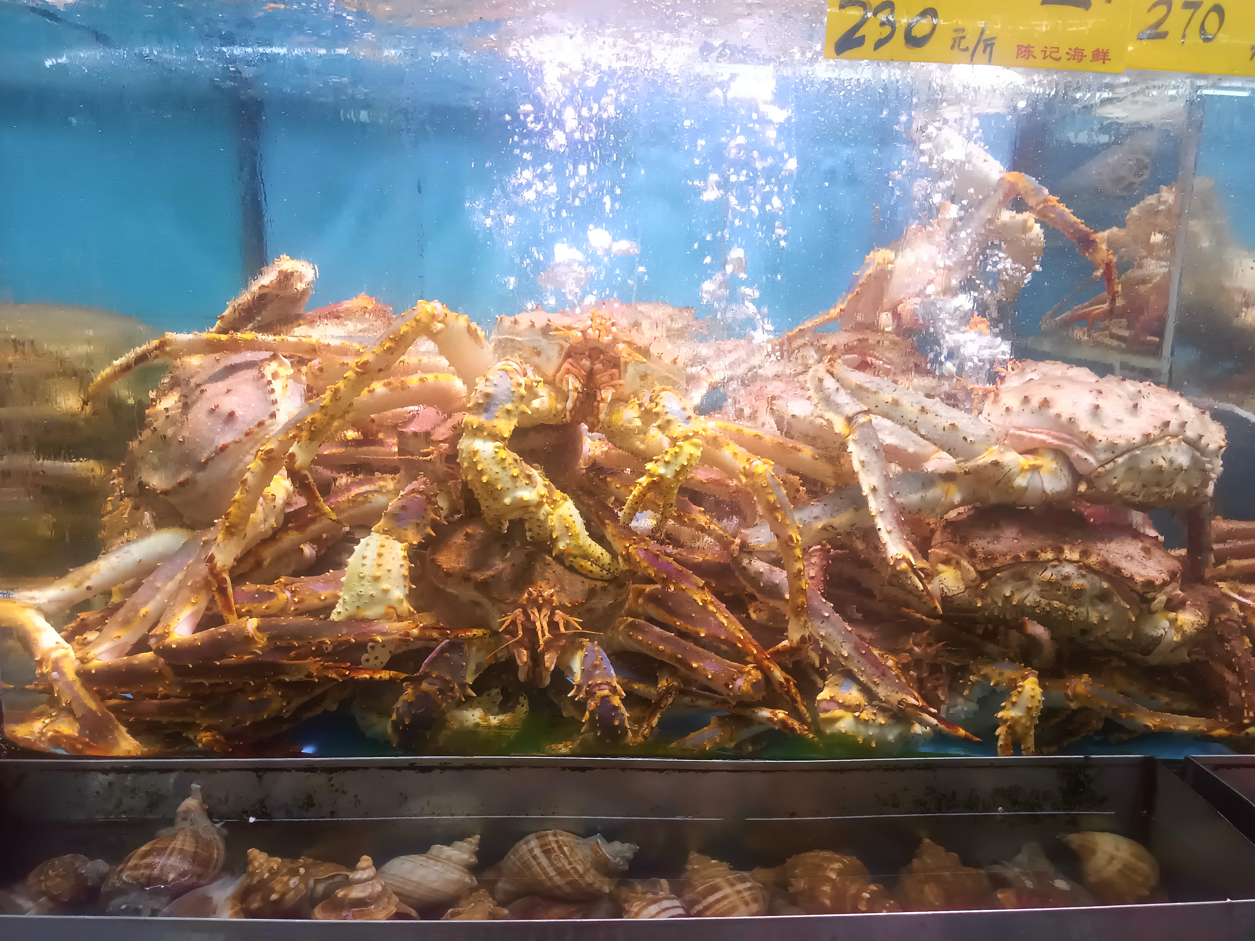 无虾井深海生物团积狂暴袭击海鲜养殖基地