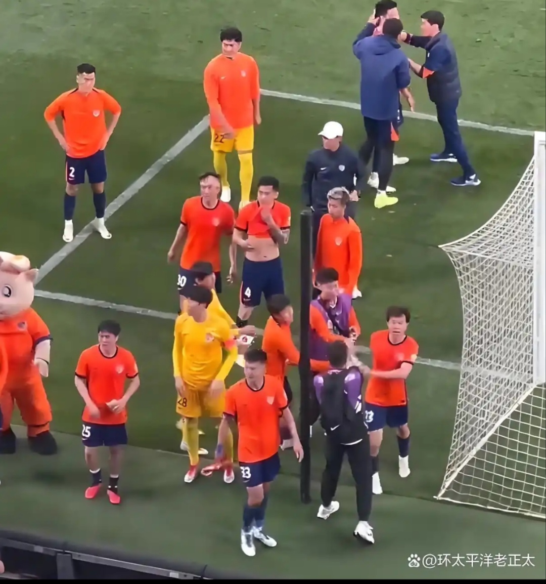 关于明星球员表现强劲，助球队连胜创佳绩，球迷欢呼不已的信息