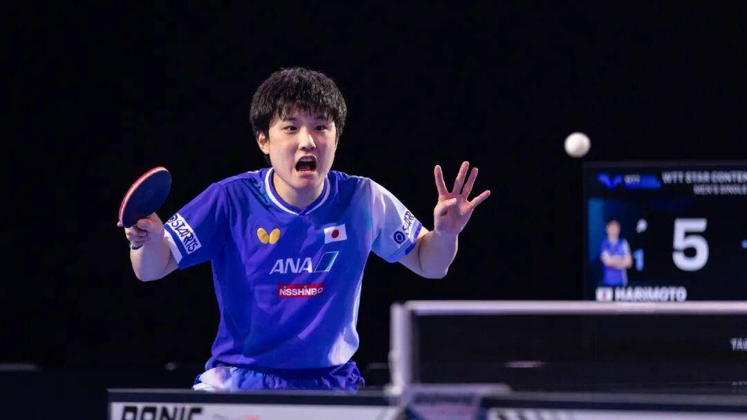 包含波兰队逆转中国队,张本智和点燃赛场的词条 包含波兰队逆转中国队,张本智和点燃赛场的词条